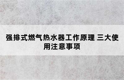 强排式燃气热水器工作原理 三大使用注意事项